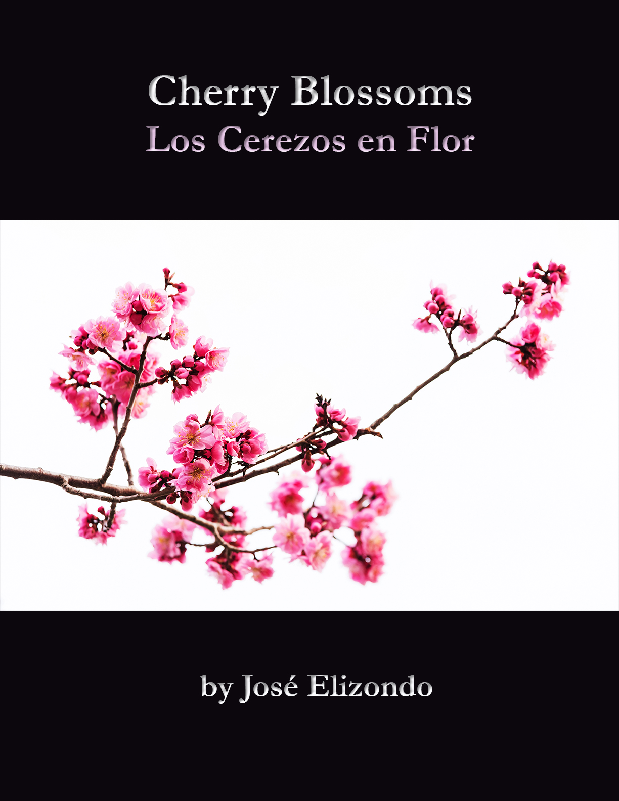 Cerezos en Flor