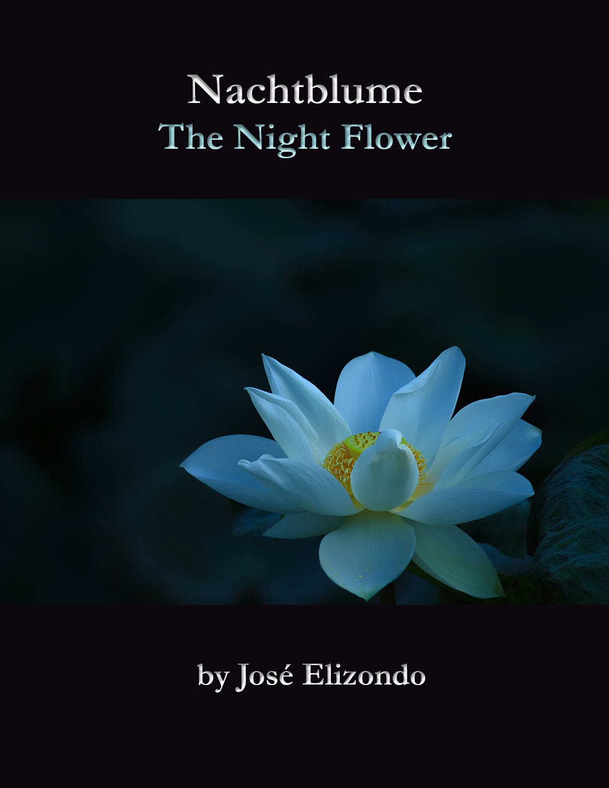 La Flor Nocturna